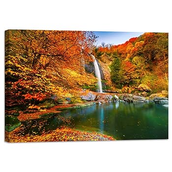 掛軸 広田超遊 渓谷之秋 木箱 紅葉 風景画 山水 掛軸 広田超遊 渓谷之秋 木箱 紅葉 風景画 山水